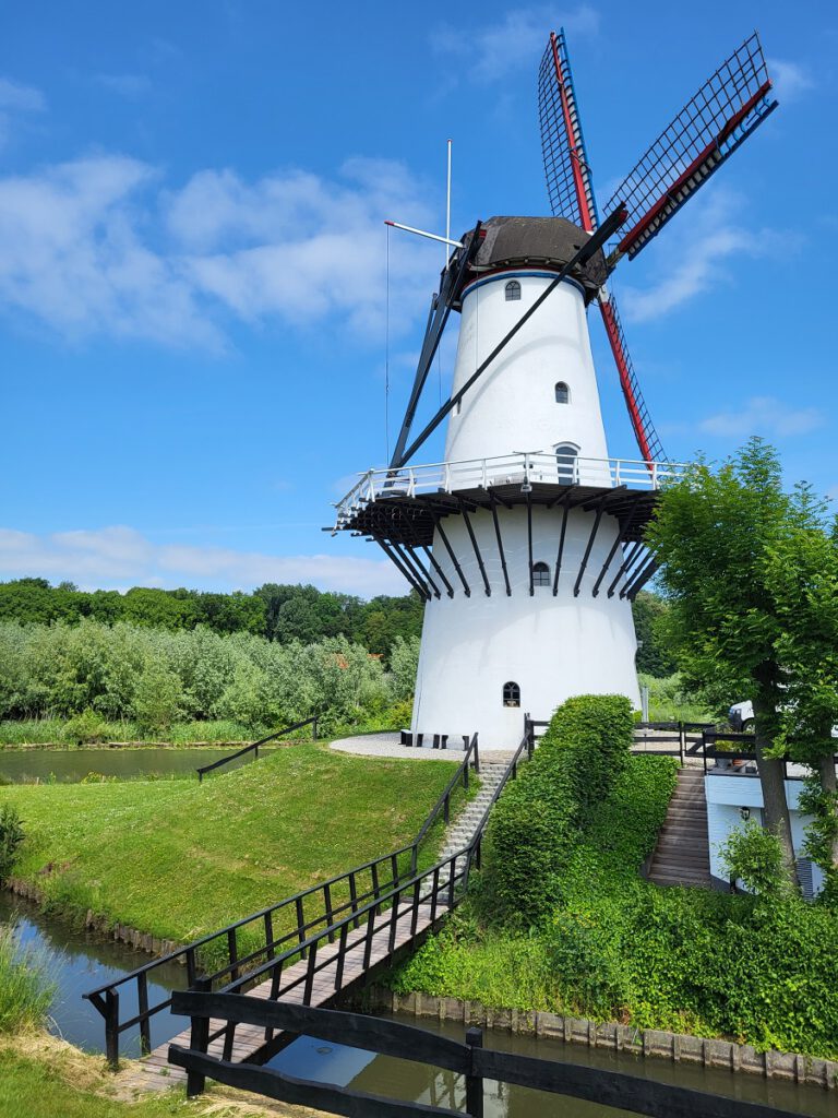 Deil - Molen De Vlinder  - Gelderland