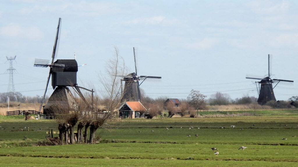 Museummolen Blokweer en andere molens Kinderdijk