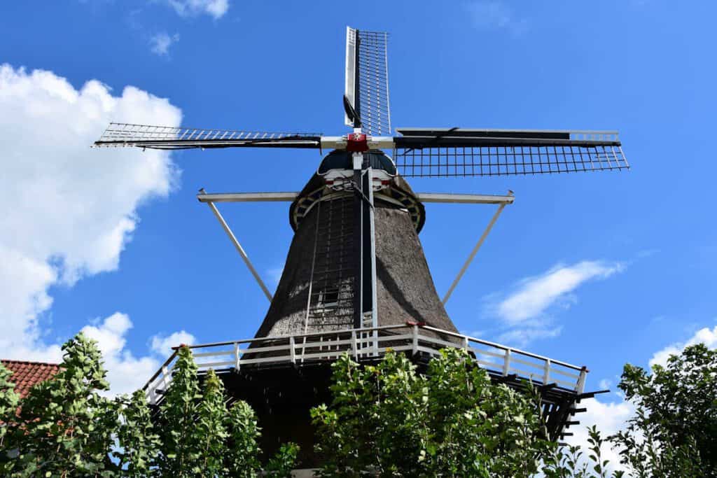 Hasselt - Molen De Zwaluw 